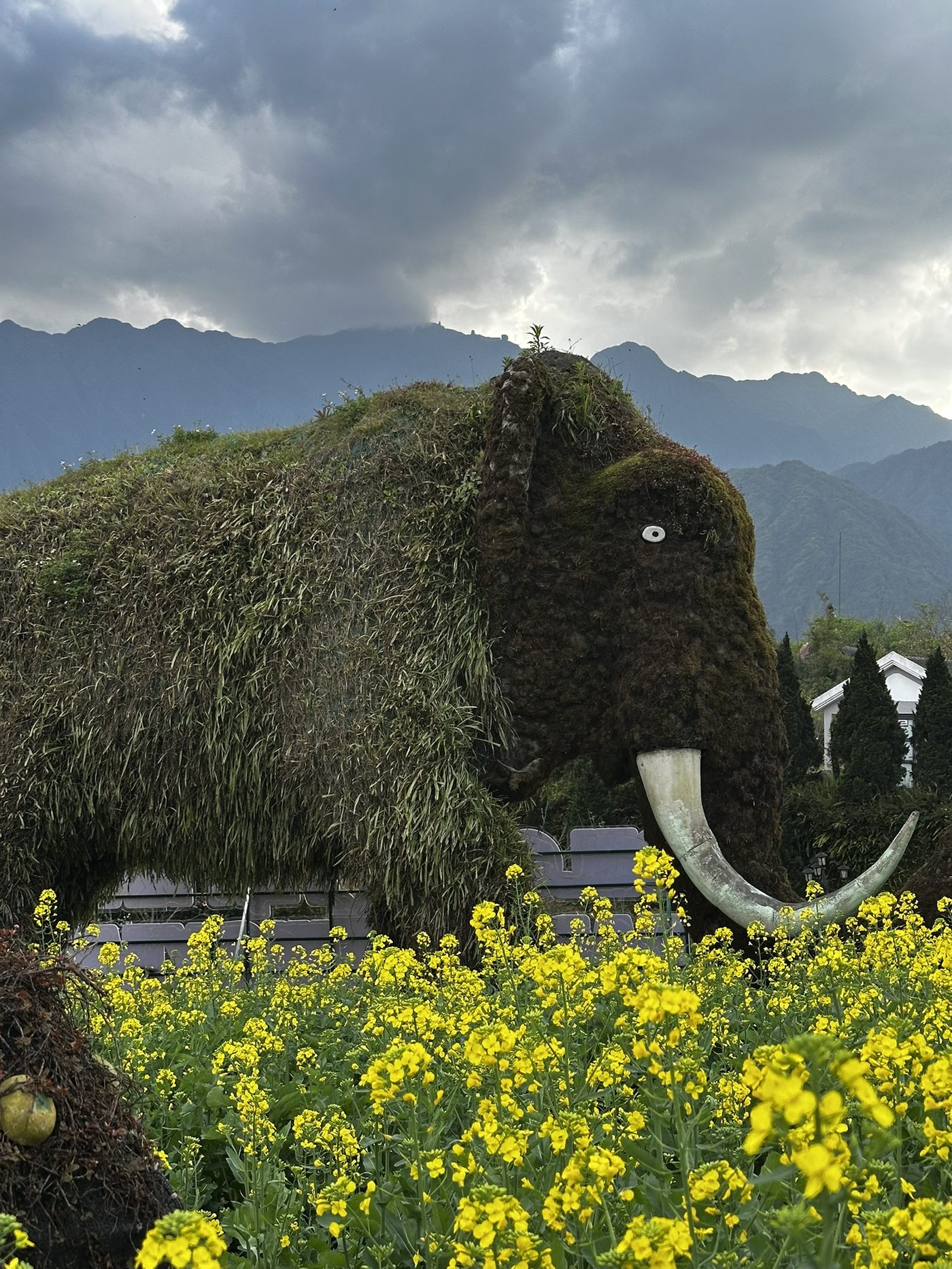 Transformacja osobowości — motyw inicjacji w różnych tradycjach